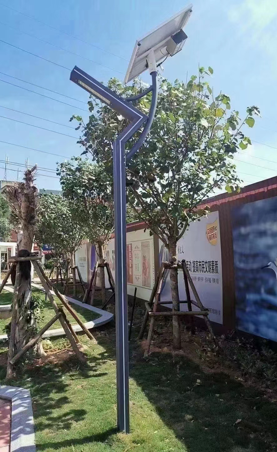 ̫���ͥԺ��